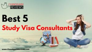Visa Consultants