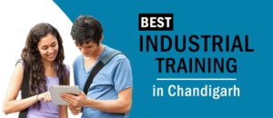 Best IT Courses in Chandigarh